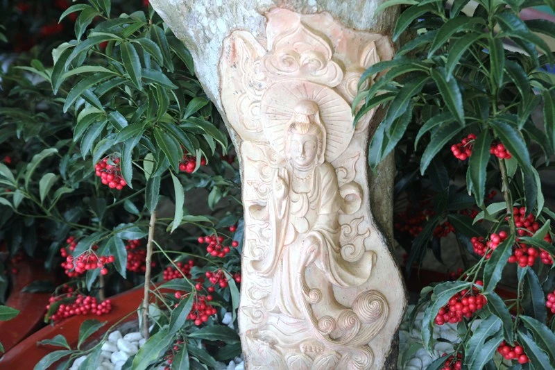 Độc đáo cây phát tài khắc hình Phật tại chợ hoa Sài Gòn ảnh 1